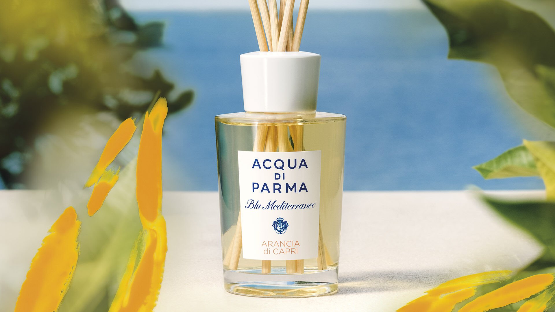 Acqua di best sale parma mediterranean blue